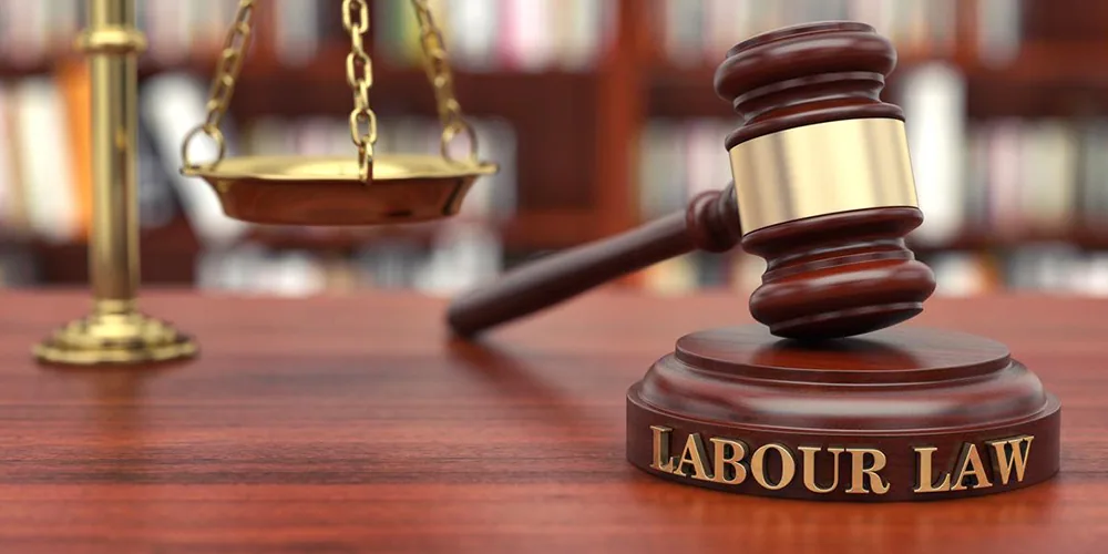New Labour Law no. 33 of 2021